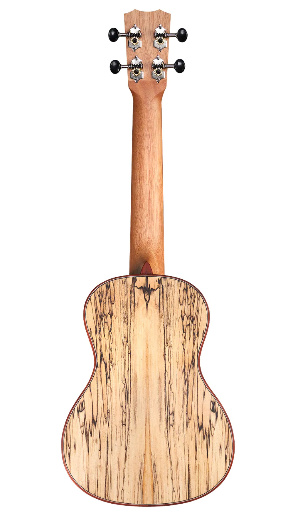 Cordoba 24C Concert Ukulele w/Bag - Spruce / Maple - One Only