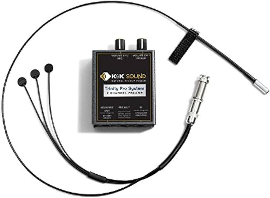 K&K Trinity Pro Mini System