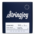 Stringjoy Signatures | Balanced Super Light Gauge (9-42) Nickel Wound Electric Guitar Strings