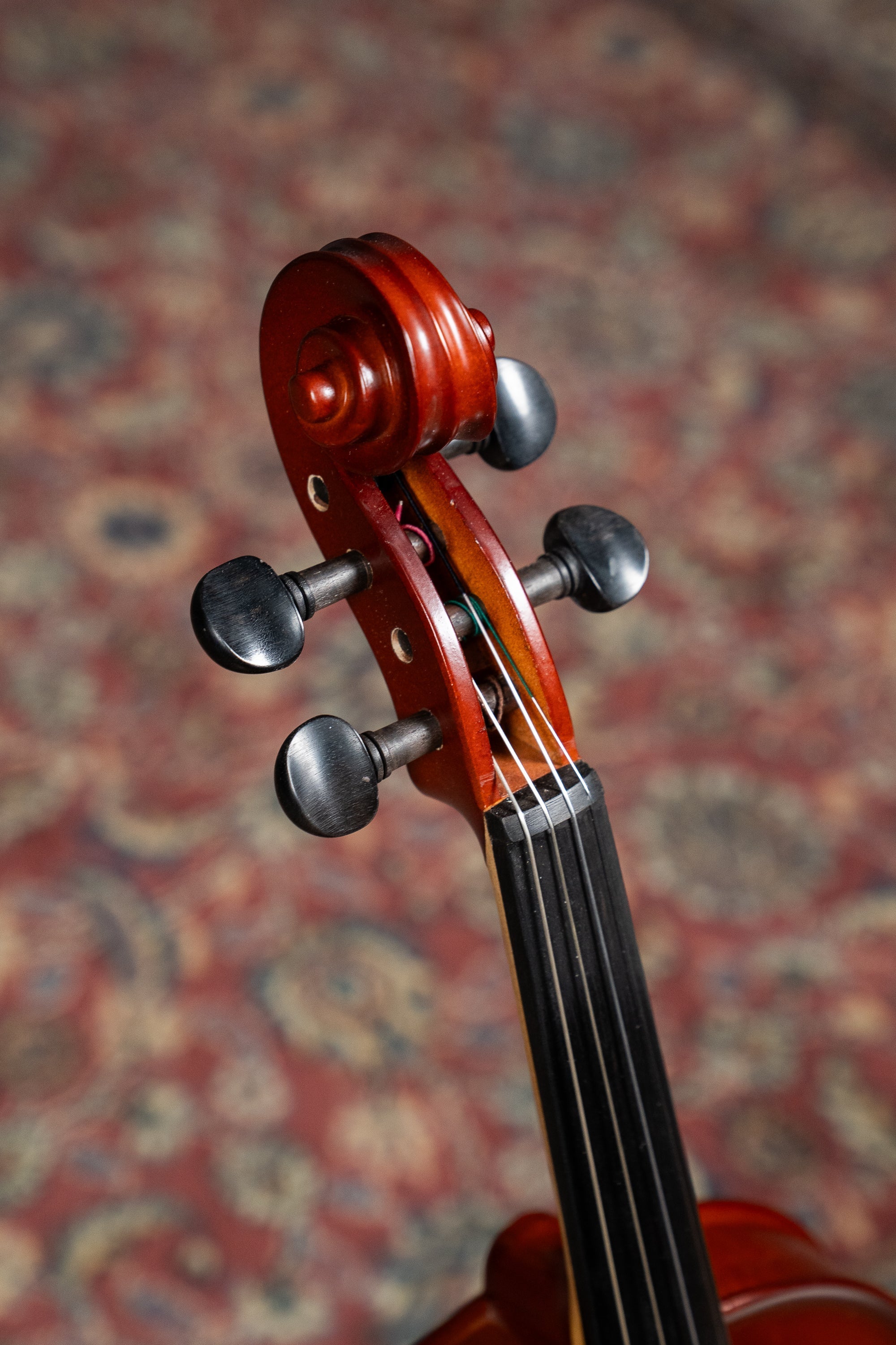 ST ROMANI III BY GLIGA 4/4 VIOLIN OUTFIT SET UP WITH TONICA STRINGS