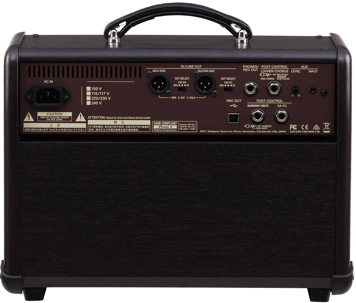 Boss Acoustic Singer Live Amplifier Combo