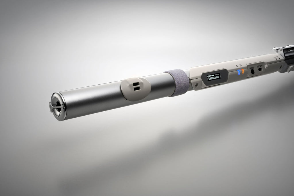 Roland Aerophone Brisa Digital Wind Instrument