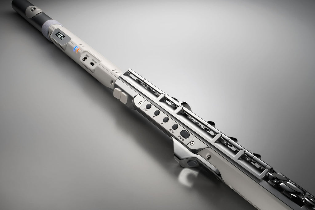 Roland Aerophone Brisa Digital Wind Instrument