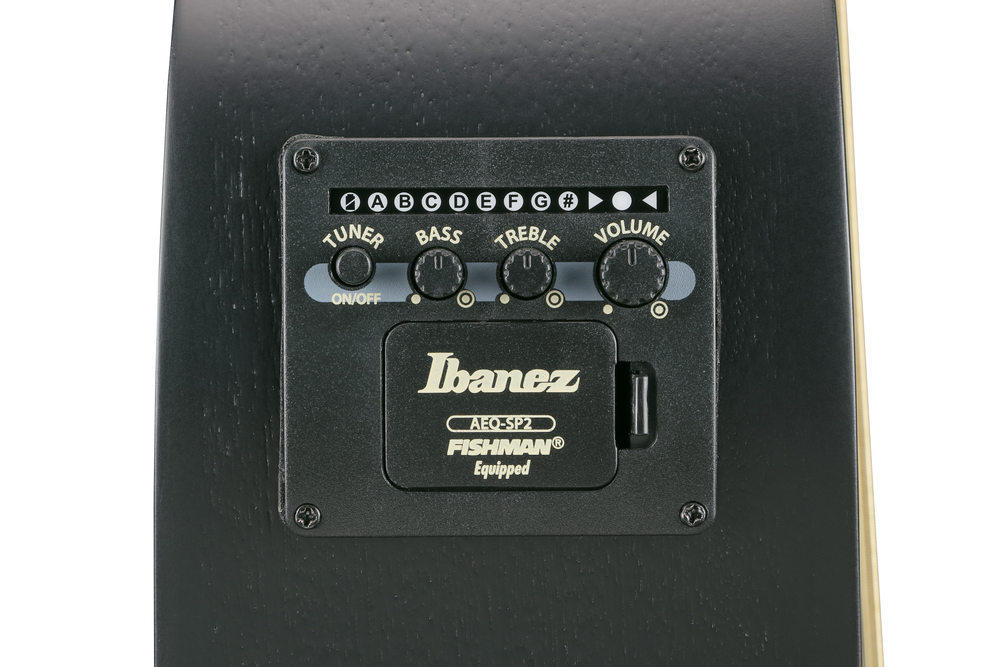 Ibanez AEWC621 Acoustic Guitar - Black Out