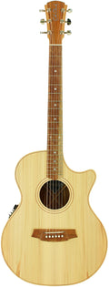 Cole Clark CCAN2EC-BB Acoustic Electric Guitar w/Case - Bunya/Blackwood