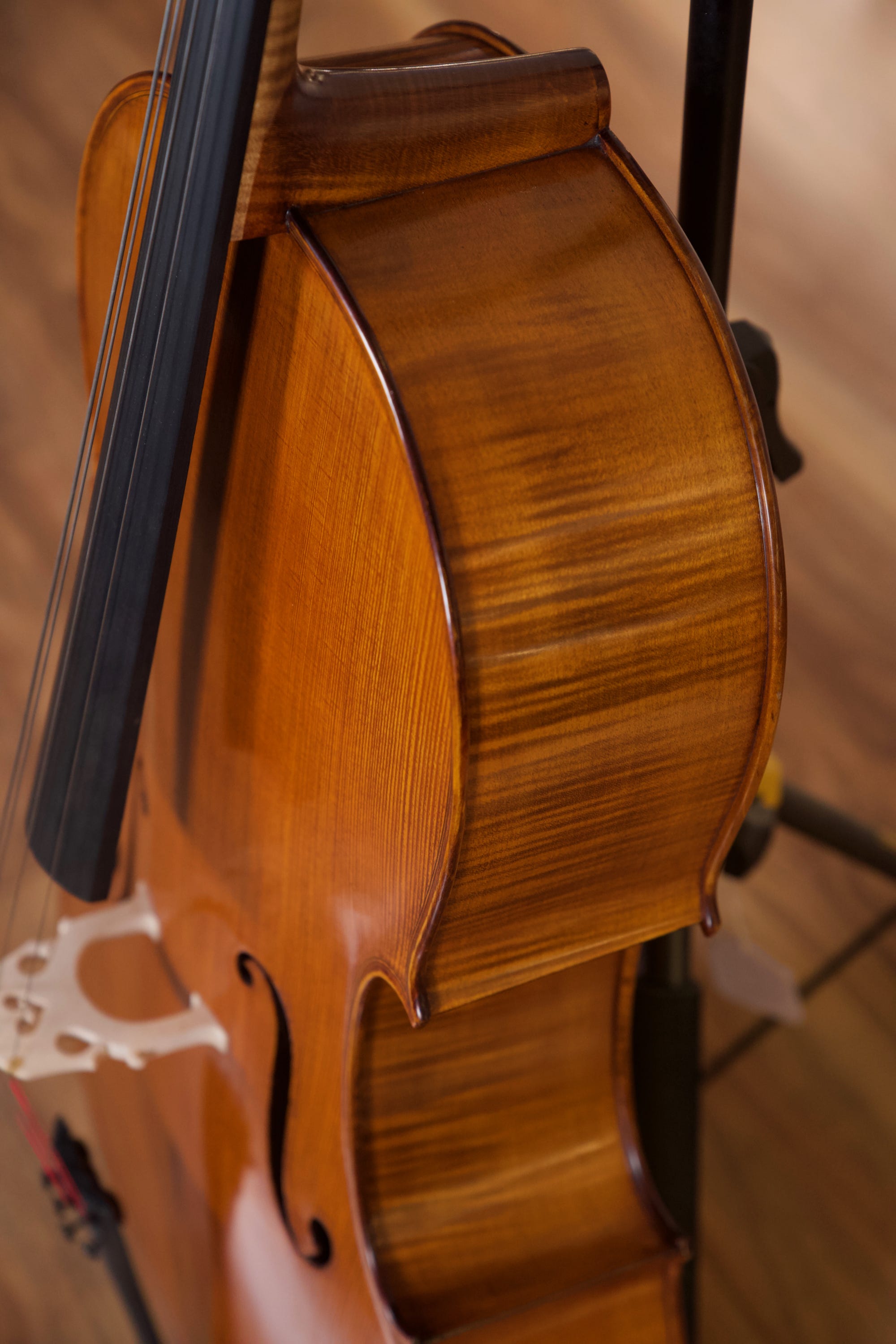 Vasile Gliga Advanced Cello Outfit 4/4 - Antique Oil Finish