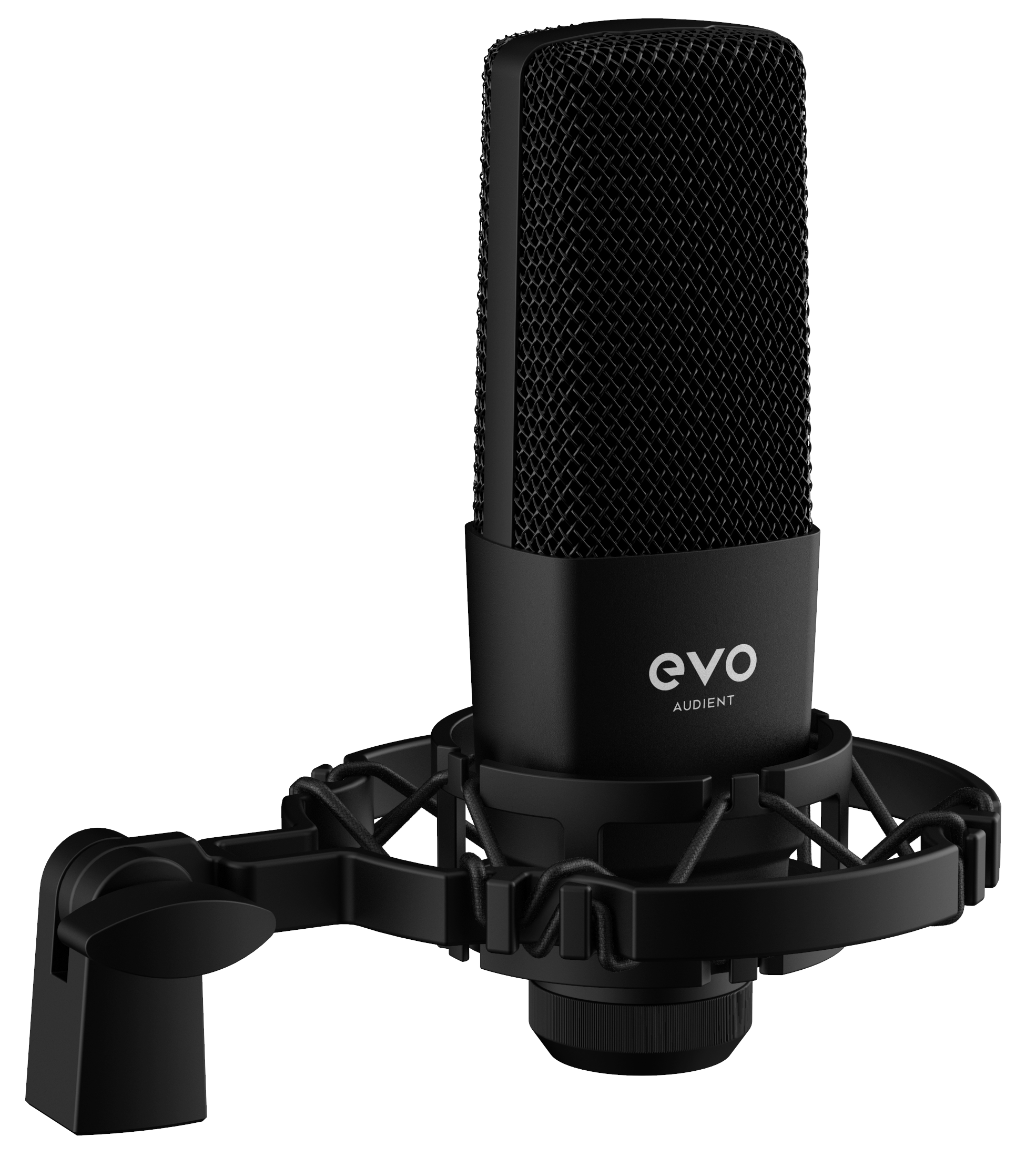 Audient EVO4 SRB (Start Recording Bundle) Interface w/Mic + Headphones