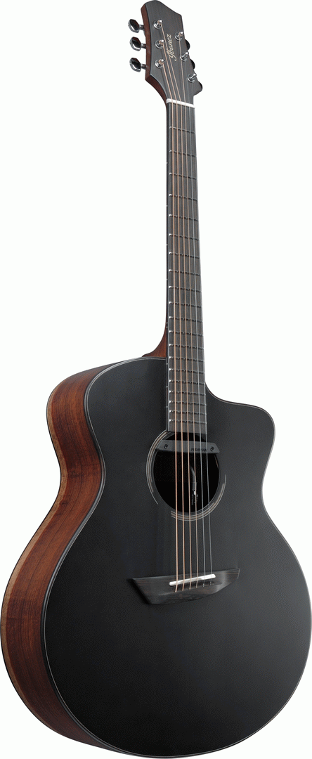 Ibanez JGM10 BSN JON GOMM Acoustic Guitar W/Case - Black Satin Top