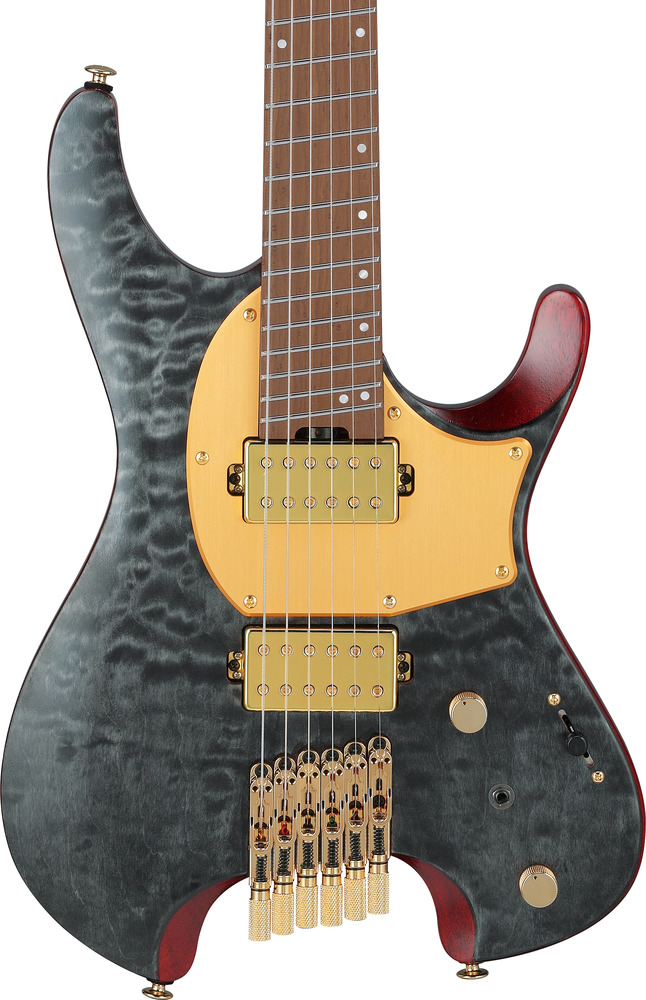 Ibanez MGFM10 Manual Gardner Signature Guitar - Obsidian Black Low Gloss