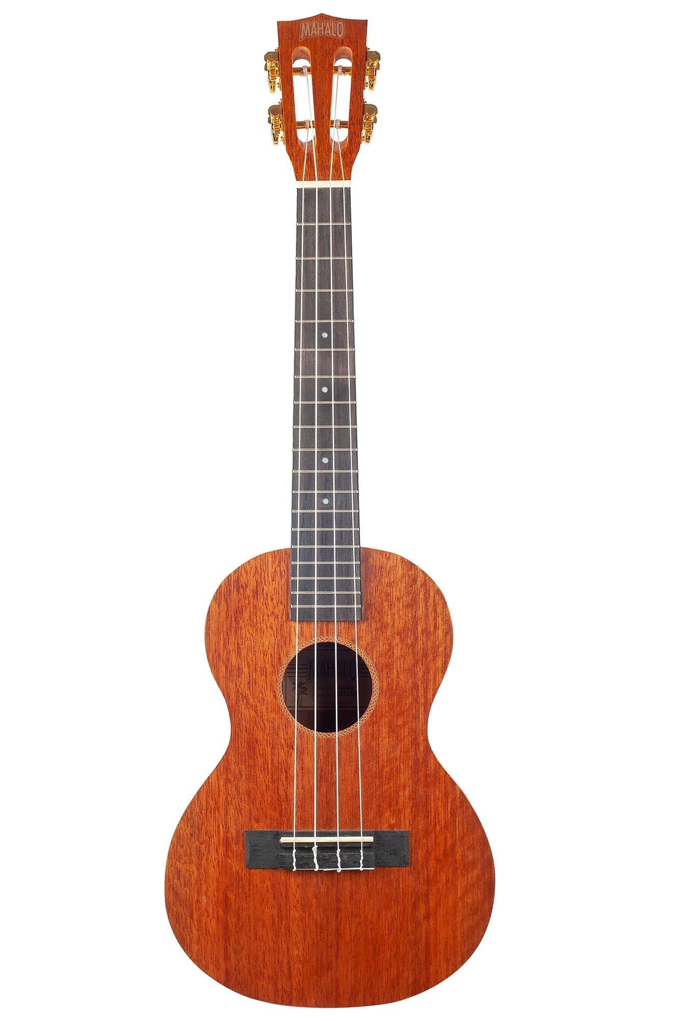 Mahalo Java Series Tenor Ukulele (MJ3TBR)