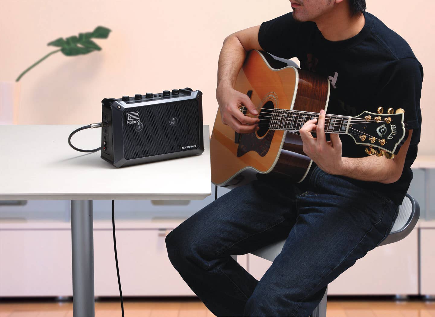Roland MOBILE CUBE Battery-Powered Stereo Amplifier (MB-CUBE)