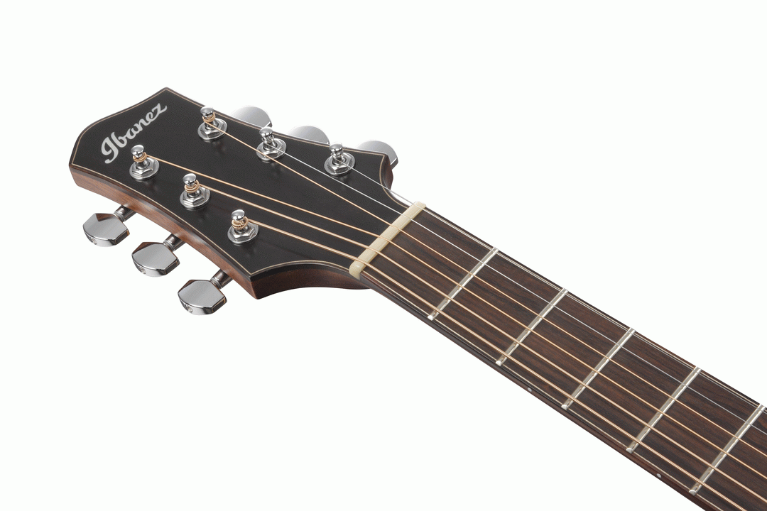 Ibanez PA300E Acoustic Guitar - Natural Satin