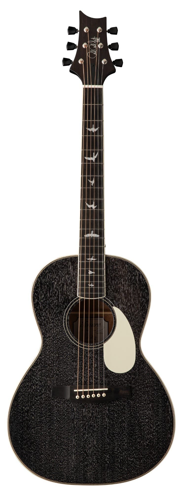 Paul Reed Smith (PRS) SE P20E - Dog Hair (Gloss Top, Satin Back)