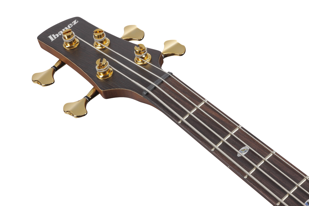 Ibanez SR5500 Electric Bass w/ Case - Mocha Flat