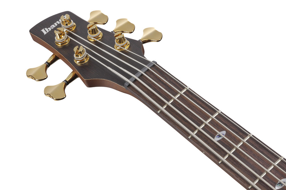 Ibanez SR6605 5 String Electric Bass w/ Case - Ghost Fleet Blue Burst