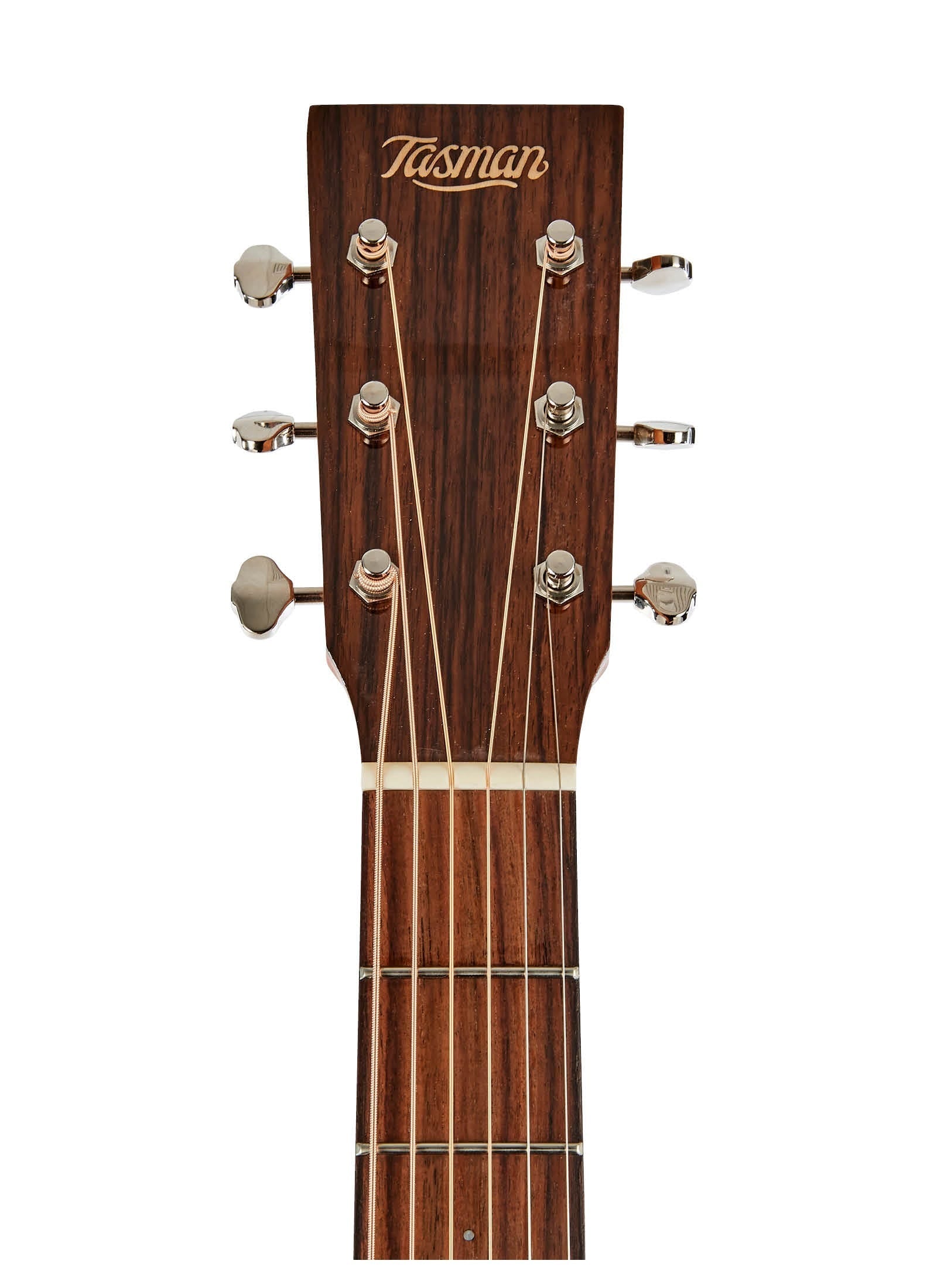 Tasman Captain TA200D-E Dreadnought Acoustic/Electric Guitar w/Case