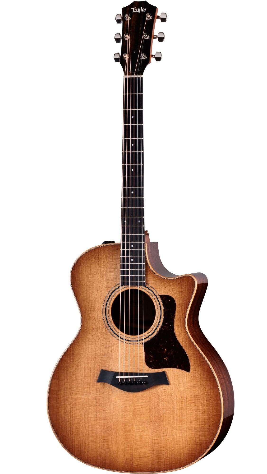 Taylor 314ce Studio Special Edition w/Gigbag - Shaded Edgeburst