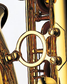Professional Alto S/Silver Neck/Body