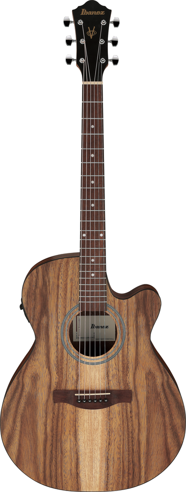 Ibanez VC40WSCE Acoustic Guitar - Open Pore Brown