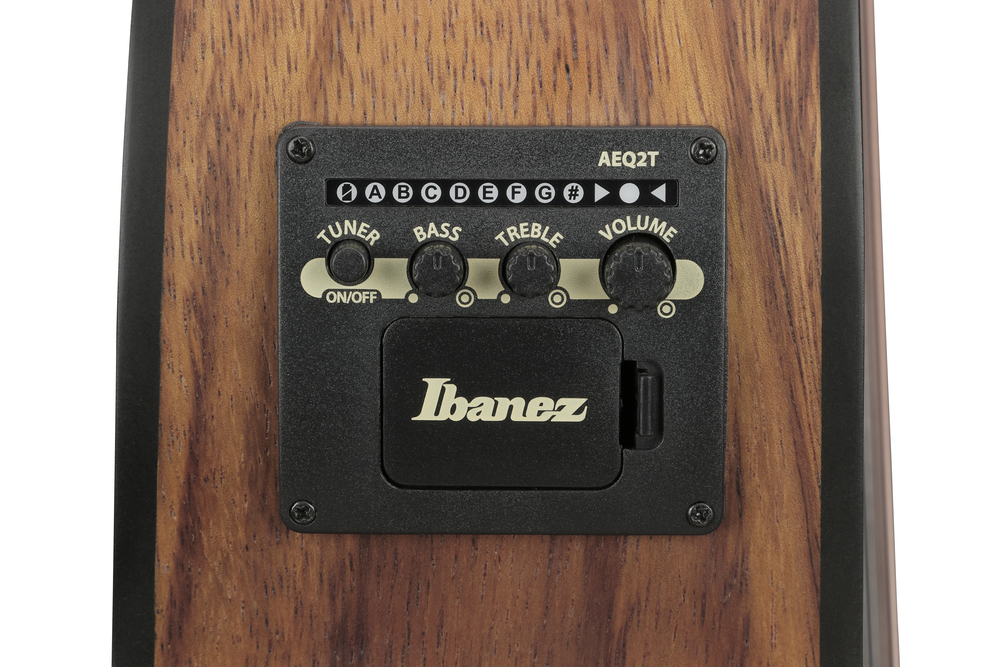 Ibanez VC40WSCE Acoustic Guitar - Open Pore Brown