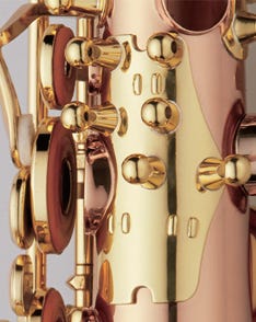 Professional Alto S/Silver Neck/Body